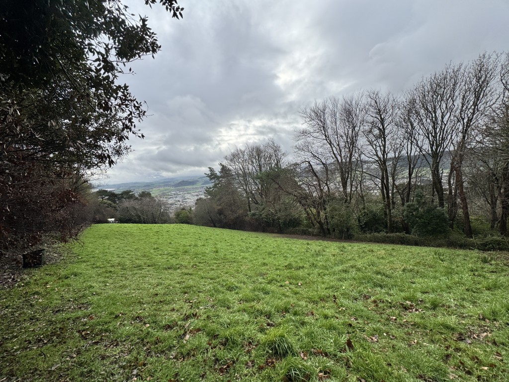 Lot: 16 - EXMOOR EDGE PASTURE WITH MAINS WATER AND VIEWS - Field view with view in the background